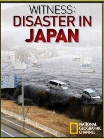 Свидетели японской катастрофы / Witness : Disaster in Japan (2011) SATRip