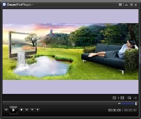 Daum PotPlayer 1.5.29206 RuS + Portable