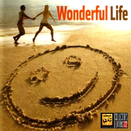 Wonderful Life (4CD Box) (2011)