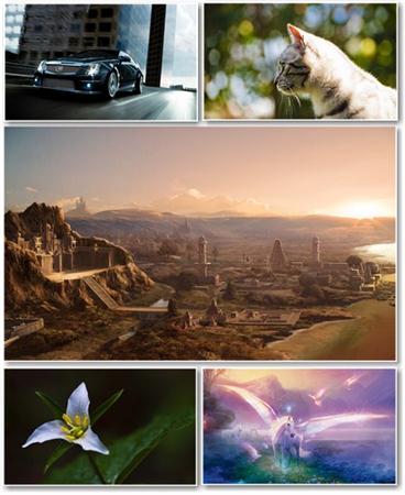 Best HD Wallpapers Pack 337