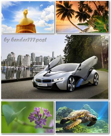 Best HD Wallpapers Pack 354