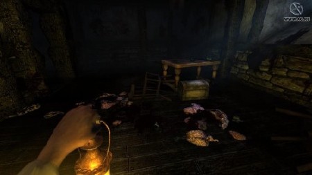 Amnesia: The Dark Descent (2010/ENG/RIP by TeaM CrossFirE)