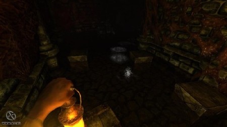 Amnesia: The Dark Descent (2010/ENG/RIP by TeaM CrossFirE)