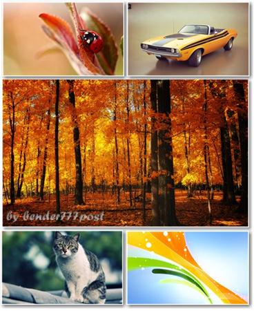 Best HD Wallpapers Pack 371