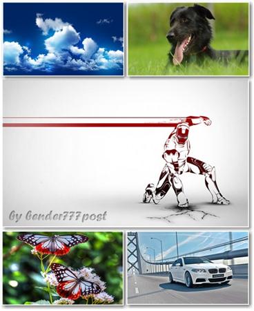 Best HD Wallpapers Pack 374