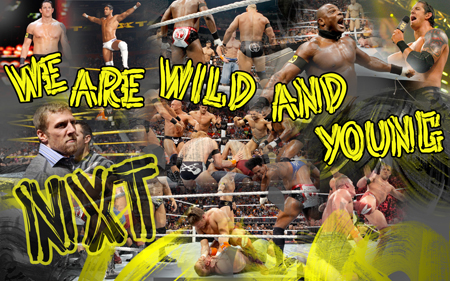 WWE NXT 10.2011 русская версия (2011/SATRip)