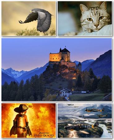 Best HD Wallpapers Pack 405