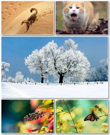 Best HD Wallpapers Pack 406