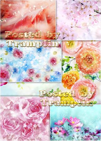       - Backgrounds with flowerses and spangle diamond