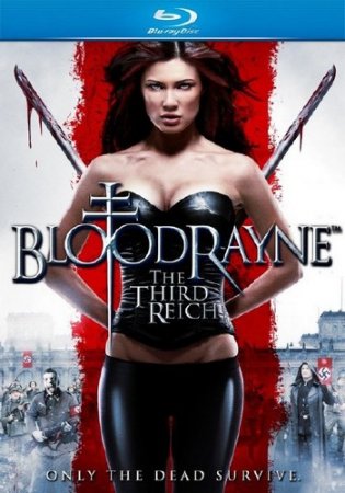  3 / Bloodrayne: The Third Reich (2010/HDRip/1400)