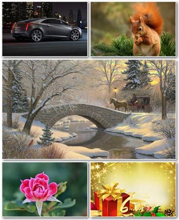 Best HD Wallpapers Pack 439