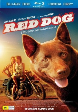   / Red Dog (2011/HDRip)