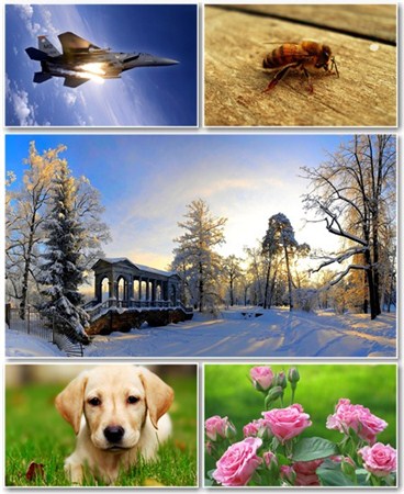 Best HD Wallpapers Pack 470