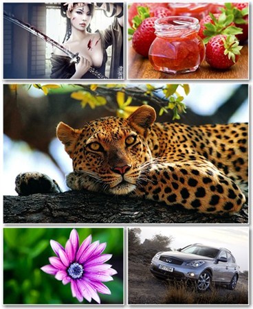 Best HD Wallpapers Pack 486