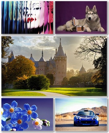 Best HD Wallpapers Pack 502