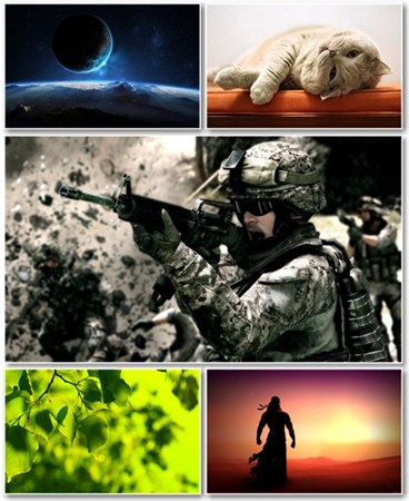 Best HD Wallpapers Pack 503