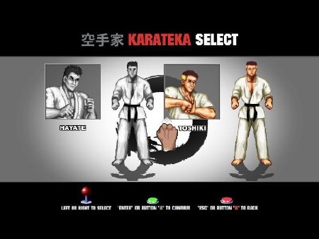 Karate Master Knock Down Blow (2011/MULTI3)