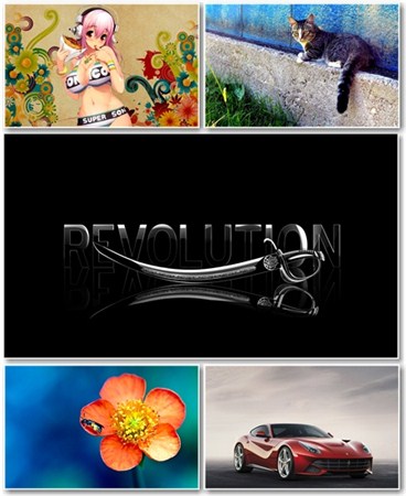 Best HD Wallpapers Pack 529