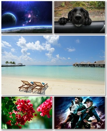 Best HD Wallpapers Pack 531