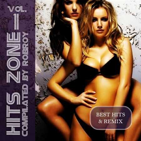 Hits Zone Vol.1 (2012)