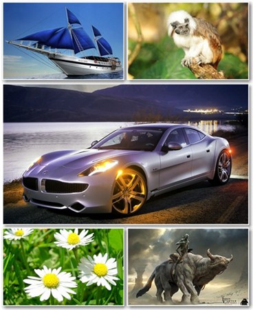 Best HD Wallpapers Pack 538