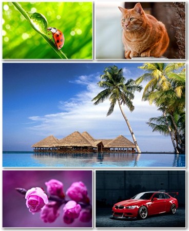 Best HD Wallpapers Pack 567