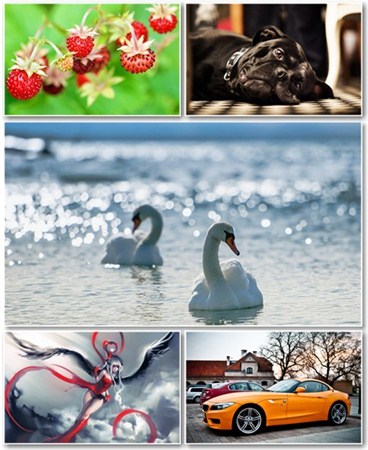 Best HD Wallpapers Pack 570