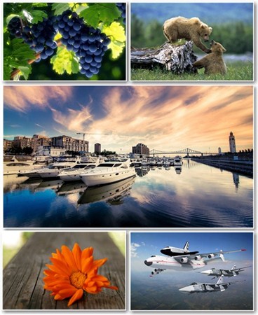 Best HD Wallpapers Pack 586