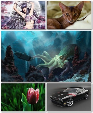 Best HD Wallpapers Pack 591