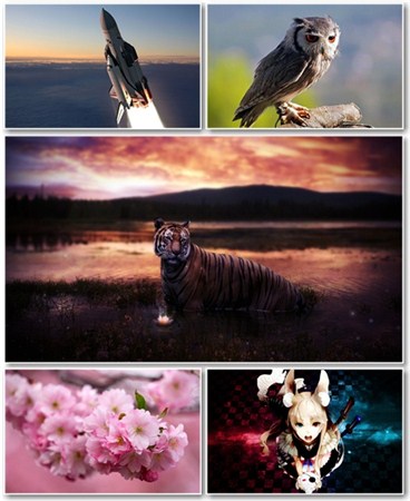 Best HD Wallpapers Pack 592