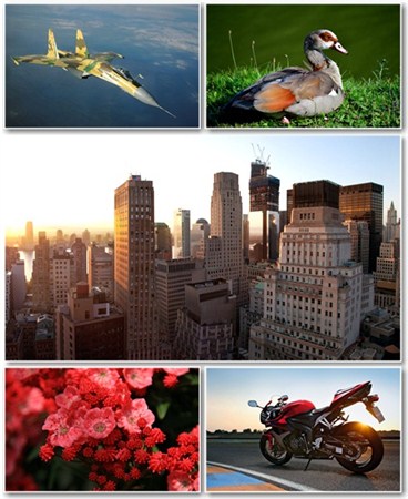 Best HD Wallpapers Pack 593