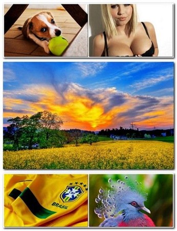New Mixed HD Wallpapers Pack 54