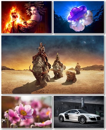 Best HD Wallpapers Pack 603