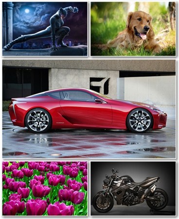 Best HD Wallpapers Pack 606