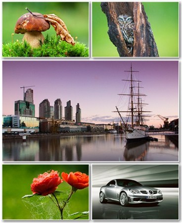 Best HD Wallpapers Pack 646