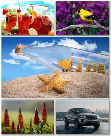 Best HD Wallpapers Pack 648