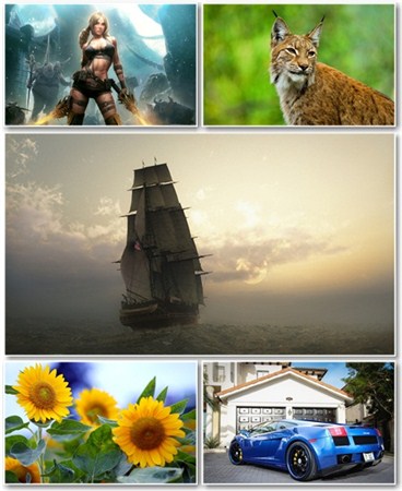 Best HD Wallpapers Pack 657