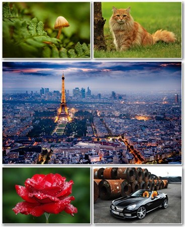 Best HD Wallpapers Pack 741
