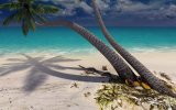 Sandy Beach 3D Screensaver 1.0.0.4.