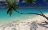 Sandy Beach 3D Screensaver 1.0.0.4.