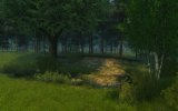 Summer Forest 3D Screensaver 1.0.0.1.