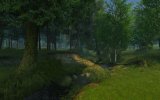 Summer Forest 3D Screensaver 1.0.0.1.