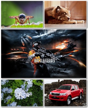 Best HD Wallpapers Pack 686