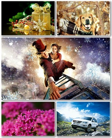 Best HD Wallpapers Pack 773