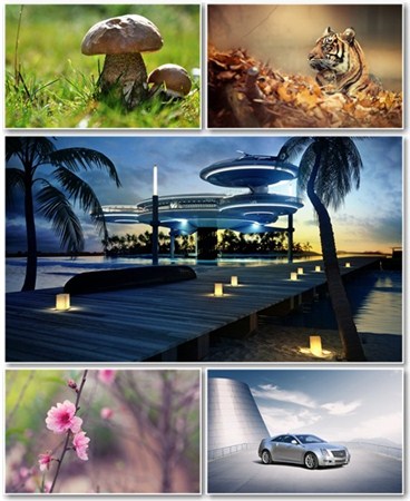 Best HD Wallpapers Pack 774