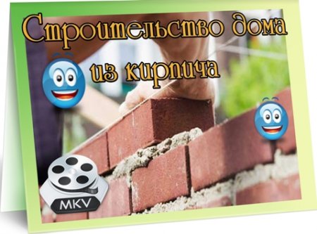 Строительство дома из кирпича (2011) DVDRip