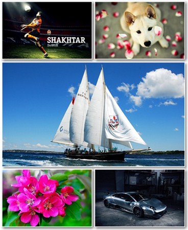 Best HD Wallpapers Pack 778