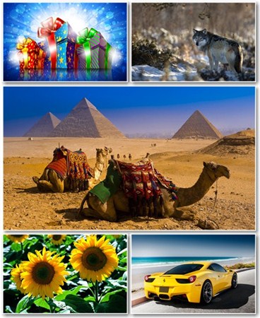 Best HD Wallpapers Pack 779