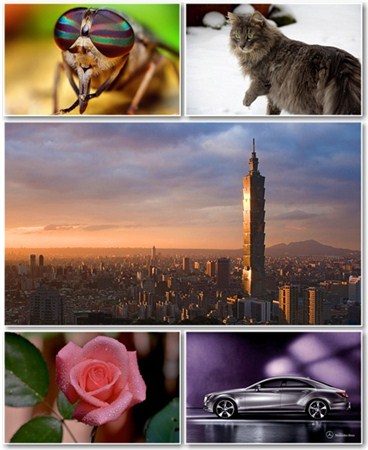 Best HD Wallpapers Pack 802