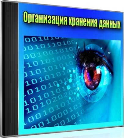 Организация хранения данных (2012) DVDRip